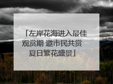 左岸花海进入最佳观赏期 邀市民共赏夏日繁花盛景