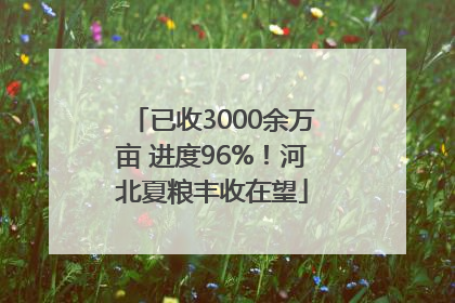 已收3000余万亩 进度96%！河北夏粮丰收在望
