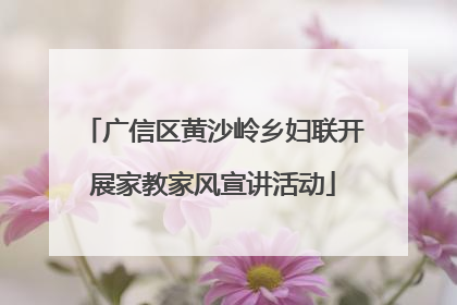 广信区黄沙岭乡妇联开展家教家风宣讲活动