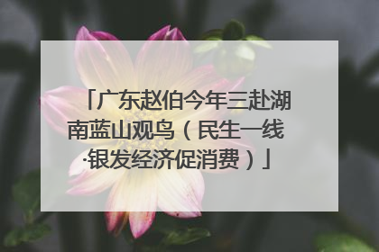广东赵伯今年三赴湖南蓝山观鸟（民生一线·银发经济促消费）