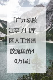 广元嘉陵江亭子口库区人工增殖放流鱼苗40万尾
