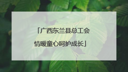 广西东兰县总工会情暖童心呵护成长