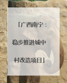 广西南宁：稳步推进城中村改造项目