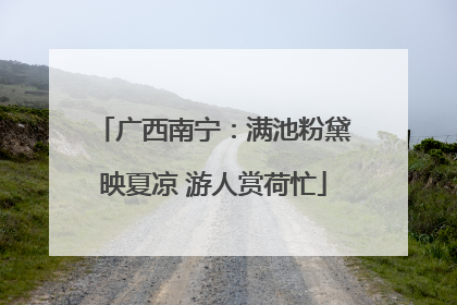 广西南宁：满池粉黛映夏凉 游人赏荷忙
