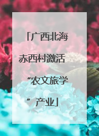 广西北海赤西村激活“农文旅学”产业
