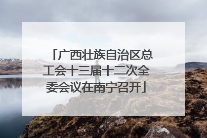 广西壮族自治区总工会十三届十二次全委会议在南宁召开