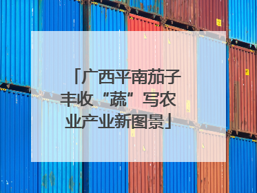 广西平南茄子丰收“蔬”写农业产业新图景