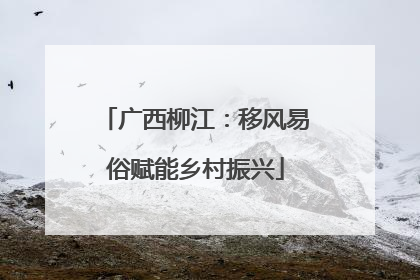 广西柳江：移风易俗赋能乡村振兴