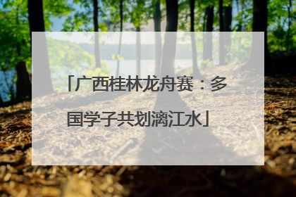 广西桂林龙舟赛：多国学子共划漓江水
