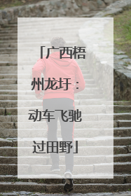 广西梧州龙圩：动车飞驰过田野