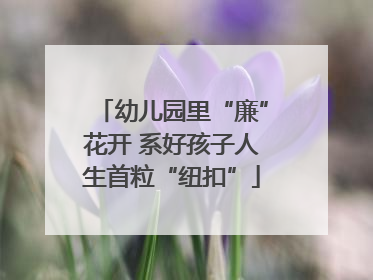 幼儿园里“廉”花开 系好孩子人生首粒“纽扣”