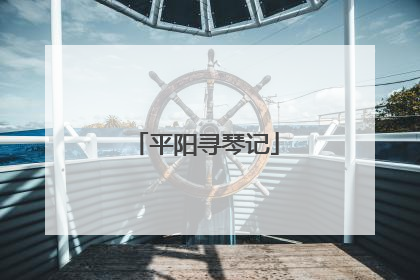 平阳寻琴记