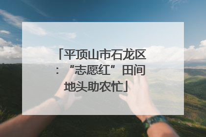 平顶山市石龙区：“志愿红”田间地头助农忙
