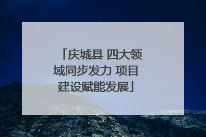庆城县 四大领域同步发力 项目建设赋能发展