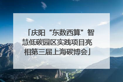 庆阳“东数西算”智慧低碳园区实践项目亮相第三届上海碳博会