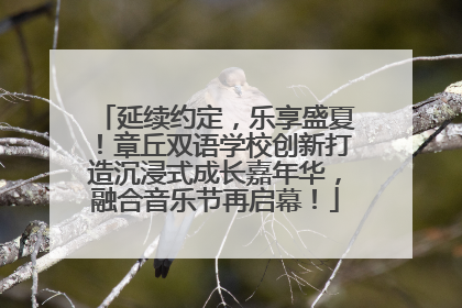 延续约定，乐享盛夏！章丘双语学校创新打造沉浸式成长嘉年华，融合音乐节再启幕！