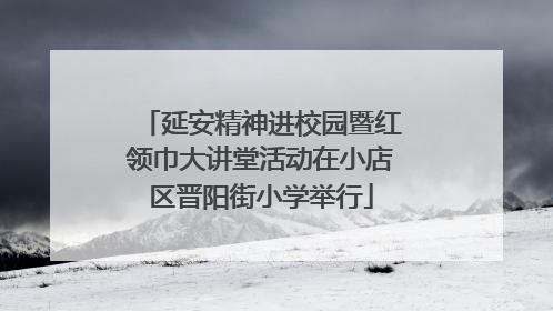 延安精神进校园暨红领巾大讲堂活动在小店区晋阳街小学举行