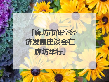 廊坊市低空经济发展座谈会在廊坊举行