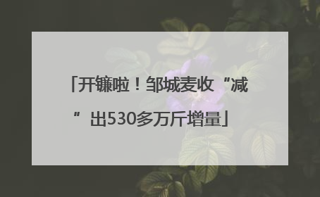 开镰啦！邹城麦收“减”出530多万斤增量
