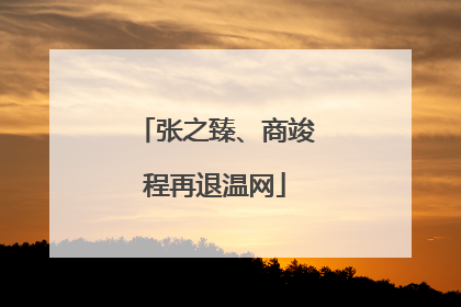 张之臻、商竣程再退温网