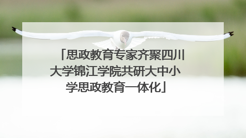 思政教育专家齐聚四川大学锦江学院共研大中小学思政教育一体化