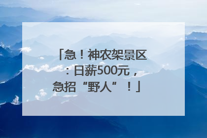 急！神农架景区：日薪500元，急招“野人”！