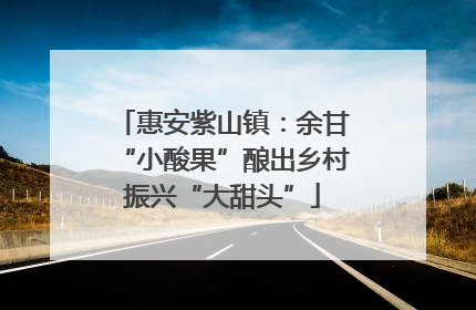 惠安紫山镇：余甘“小酸果”酿出乡村振兴“大甜头”