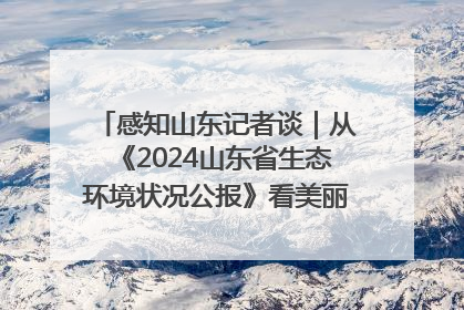 感知山东记者谈｜从《2024山东省生态环境状况公报》看美丽山东建设的“成绩单”与“任务书”