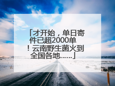才开始，单日寄件已超2000单！云南野生菌火到全国各地……
