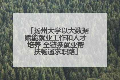 扬州大学以大数据赋能就业工作和人才培养 全链条就业帮扶畅通求职路