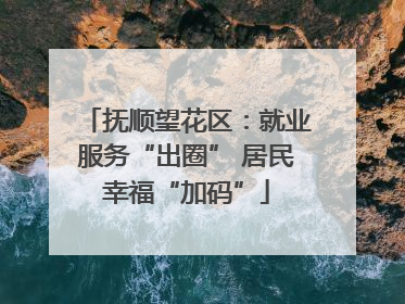 抚顺望花区：就业服务“出圈” 居民幸福“加码”