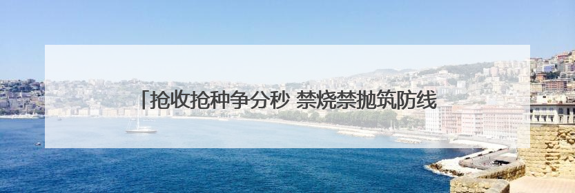 抢收抢种争分秒 禁烧禁抛筑防线——郎中乡干群同心守好 粮袋子