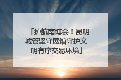 护航南博会！昆明城管坚守展馆守护文明有序交易环境