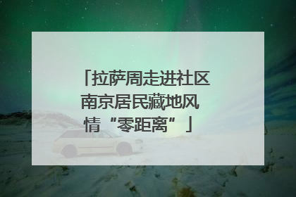 拉萨周走进社区 南京居民藏地风情“零距离”