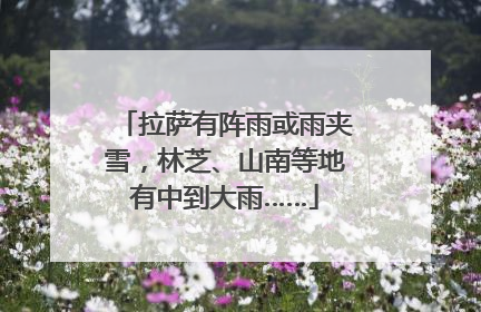 拉萨有阵雨或雨夹雪，林芝、山南等地有中到大雨……