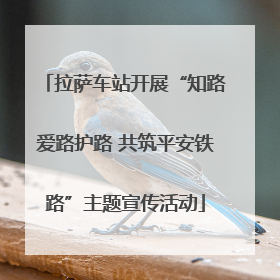 拉萨车站开展“知路爱路护路 共筑平安铁路”主题宣传活动