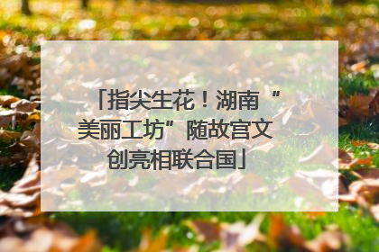 指尖生花！湖南“美丽工坊”随故宫文创亮相联合国