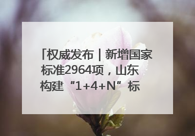 权威发布｜新增国家标准2964项，山东构建“1+4+N”标准化创新发展新格局