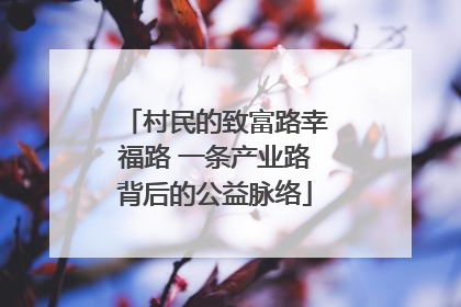 村民的致富路幸福路 一条产业路背后的公益脉络
