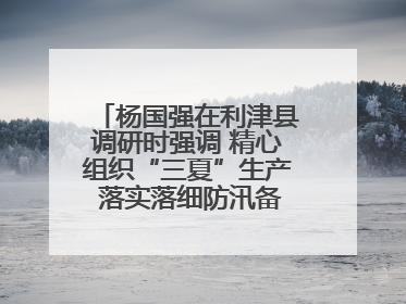 杨国强在利津县调研时强调 精心组织“三夏”生产 落实落细防汛备汛工作