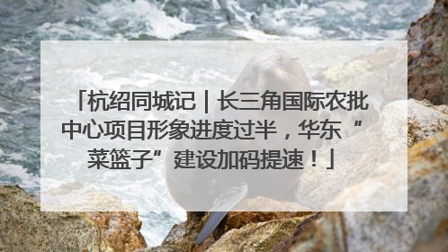 杭绍同城记｜长三角国际农批中心项目形象进度过半，华东“菜篮子”建设加码提速！