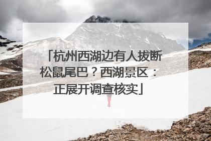 杭州西湖边有人拔断松鼠尾巴？西湖景区：正展开调查核实