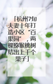 杭州7旬夫妻十年打造小区“百果园”，两棵猕猴桃树结出上千个果子
