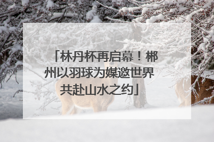 林丹杯再启幕！郴州以羽球为媒邀世界共赴山水之约