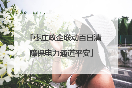 枣庄政企联动百日清障保电力通道平安