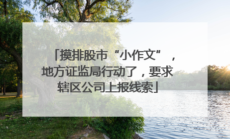 摸排股市“小作文”，地方证监局行动了，要求辖区公司上报线索