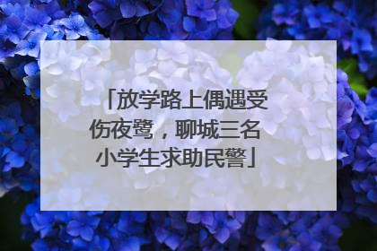 放学路上偶遇受伤夜鹭，聊城三名小学生求助民警