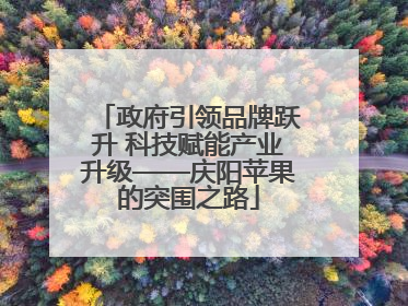 政府引领品牌跃升 科技赋能产业升级——庆阳苹果的突围之路