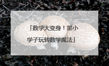 数学大变身！墨小学子玩转数学魔法