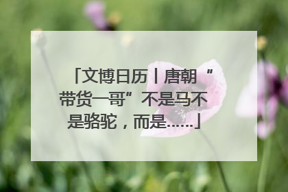 文博日历丨唐朝“带货一哥”不是马不是骆驼，而是……